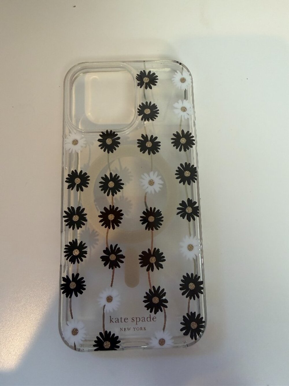 iPhone 16 Pro Max Case